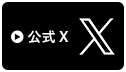 公式X