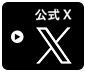 公式X